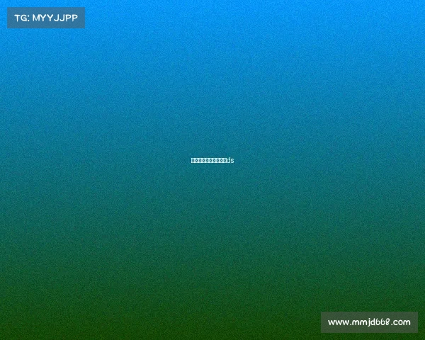 新西兰的赛事新西兰杯ds